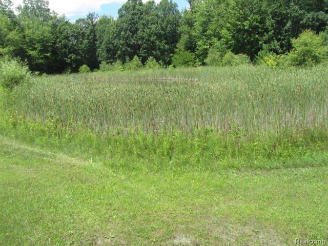 8694 Lambs Road Goodells, MI 48027 - Photo 20 of 20 2013-07-06 00.50.17.jpg