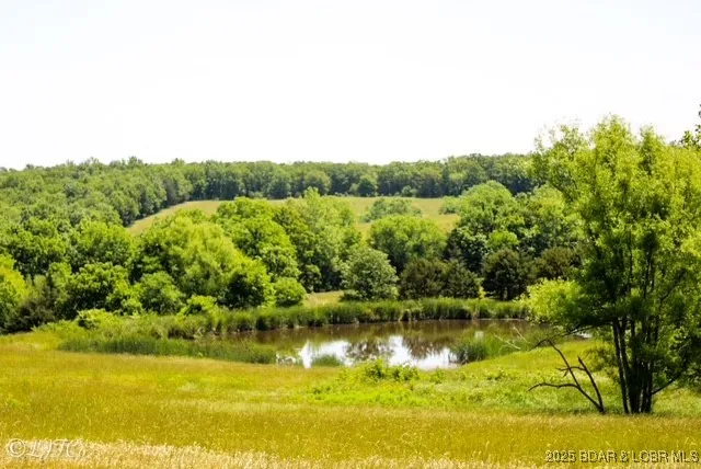 $1,200,000 | Tbd County Side Road, Brumley, MO 65017