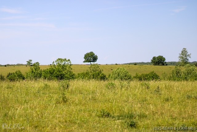 Tbd County Side Road Brumley, MO 65017 - Photo 11 of 19