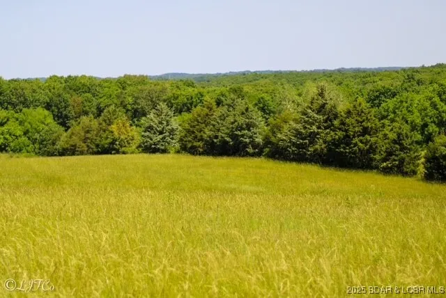 $1,200,000 | Tbd County Side Road, Brumley, MO 65017