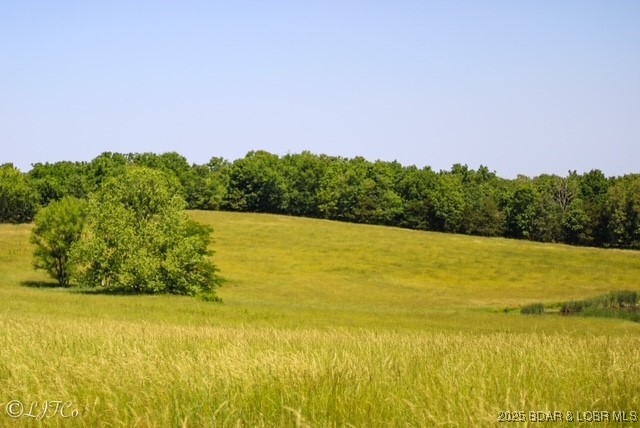 Tbd County Side Road Brumley, MO 65017 - Photo 13 of 19