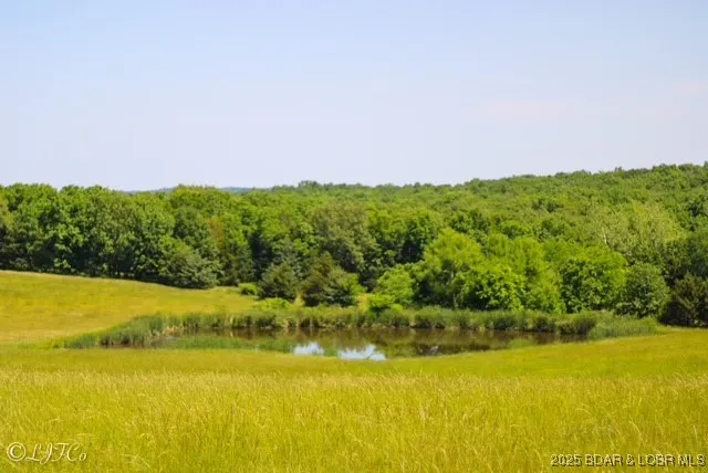 $1,200,000 | Tbd County Side Road, Brumley, MO 65017
