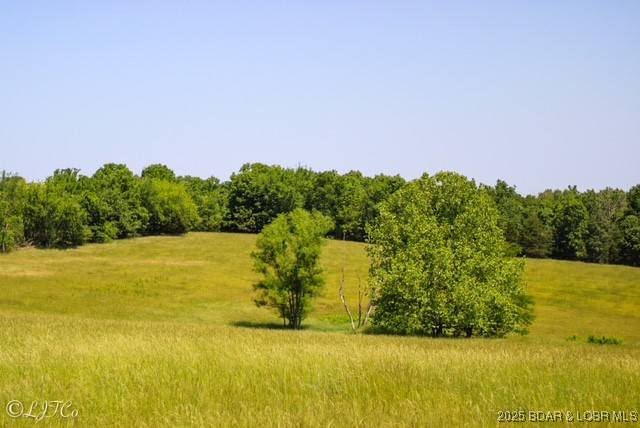 Tbd County Side Road Brumley, MO 65017 - Photo 15 of 19