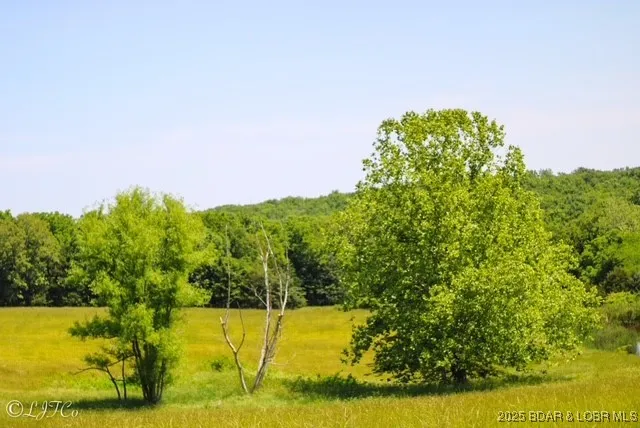 $1,200,000 | Tbd County Side Road, Brumley, MO 65017