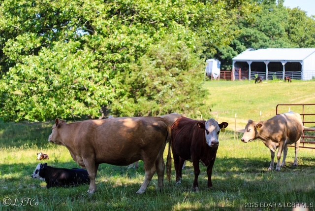 Tbd County Side Road Brumley, MO 65017 - Photo 17 of 19