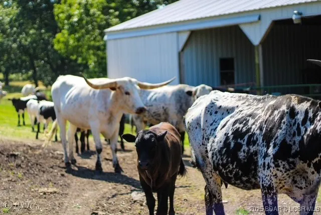 $1,200,000 | Tbd County Side Road, Brumley, MO 65017