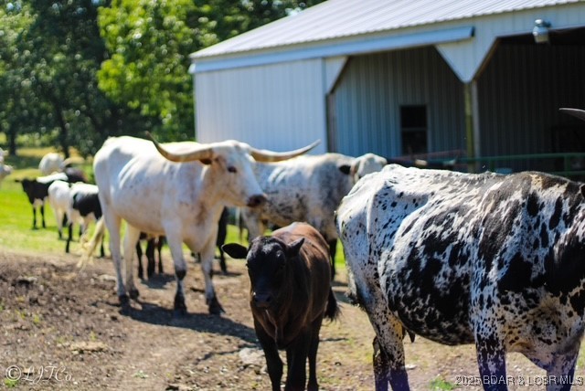 Tbd County Side Road Brumley, MO 65017 - Photo 18 of 19