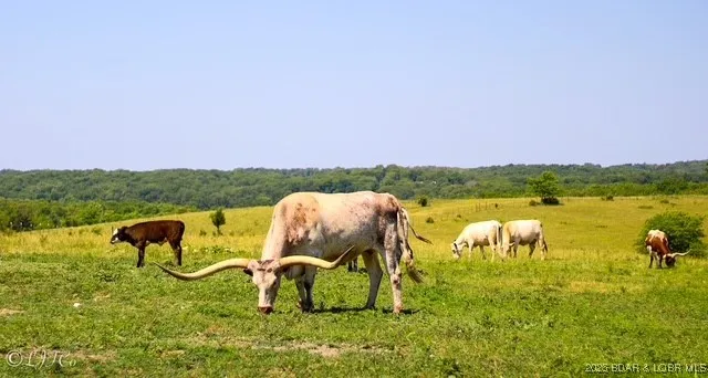 $1,200,000 | Tbd County Side Road, Brumley, MO 65017