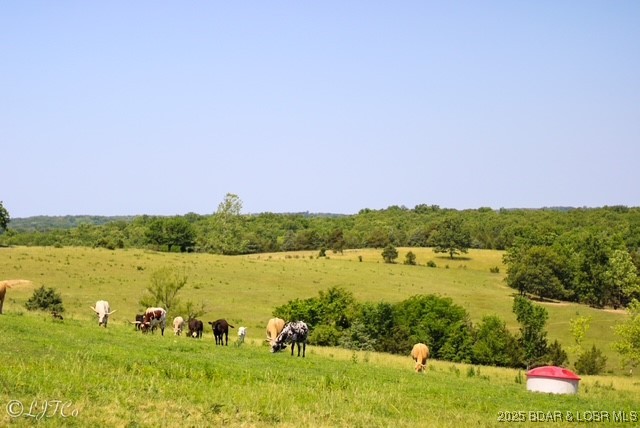 Tbd County Side Road Brumley, MO 65017 - Photo 4 of 19