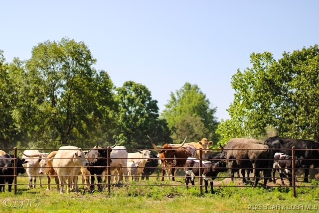 Tbd County Side Road Brumley, MO 65017 - Photo 5 of 19