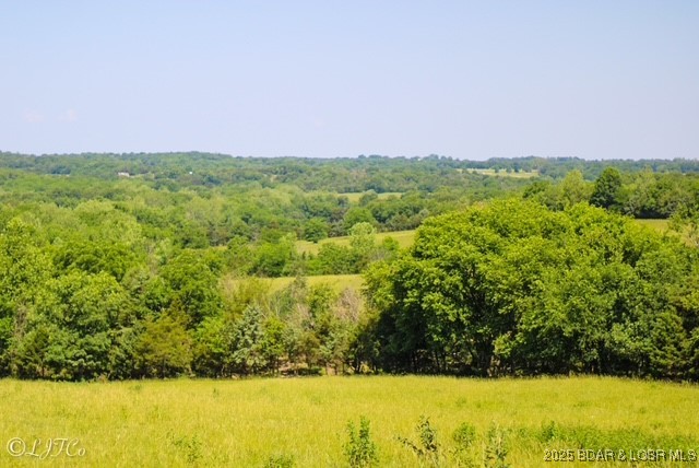 Tbd County Side Road Brumley, MO 65017 - Photo 6 of 19
