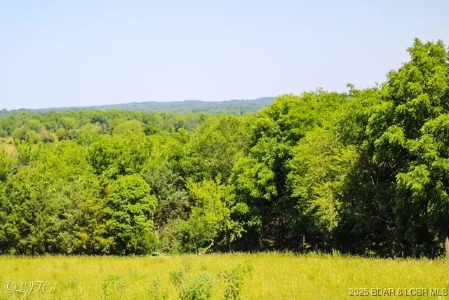 $1,200,000 | Tbd County Side Road, Brumley, MO 65017