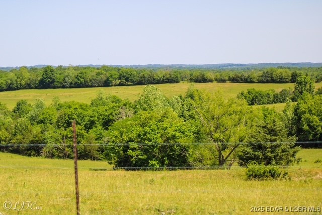 Tbd County Side Road Brumley, MO 65017 - Photo 8 of 19