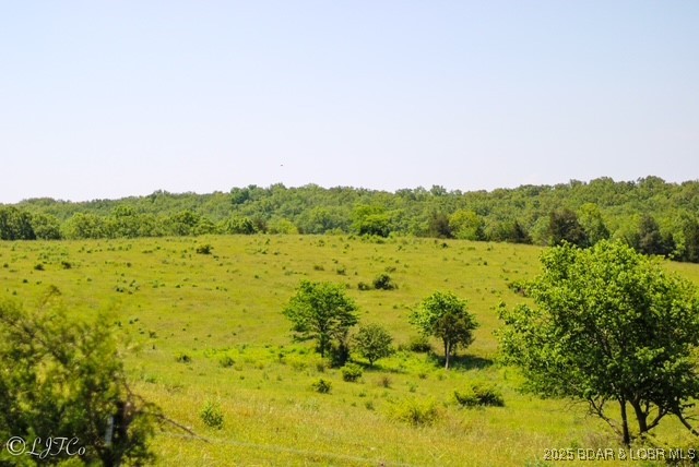 Tbd County Side Road Brumley, MO 65017 - Photo 9 of 19