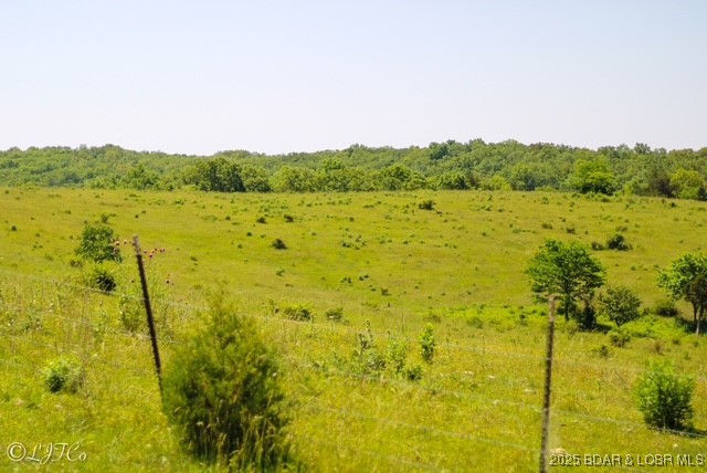 Tbd County Side Road Brumley, MO 65017 - Photo 10 of 19