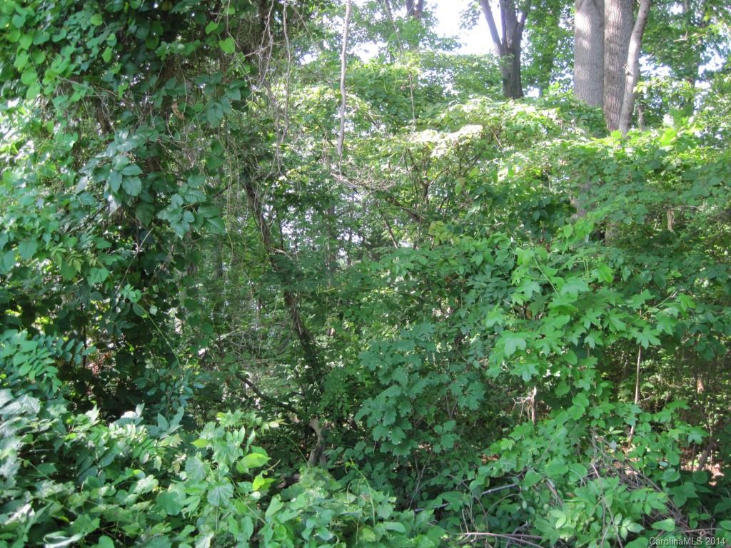 Lot #25 Unity Church Road Denver, NC 28037 - Photo 14 of 17 Gallery Image 14