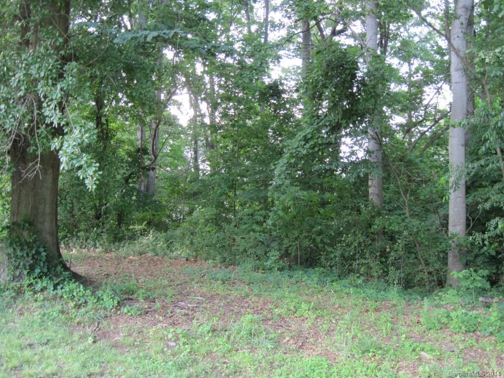 Lot #25 Unity Church Road Denver, NC 28037 - Photo 15 of 17 Gallery Image 15