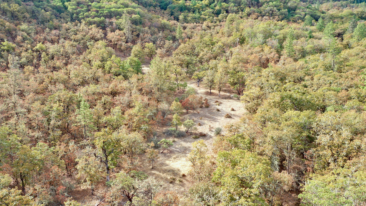 5535 Kane Creek Road Central Point, OR 97502 - Photo 76 of 78 11F31206E48A74740BDD051FE10E0AA0