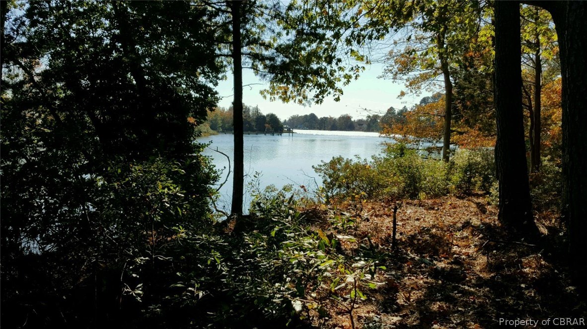 0 Chapel Neck Road North, VA 23128 - Photo 3 of 5