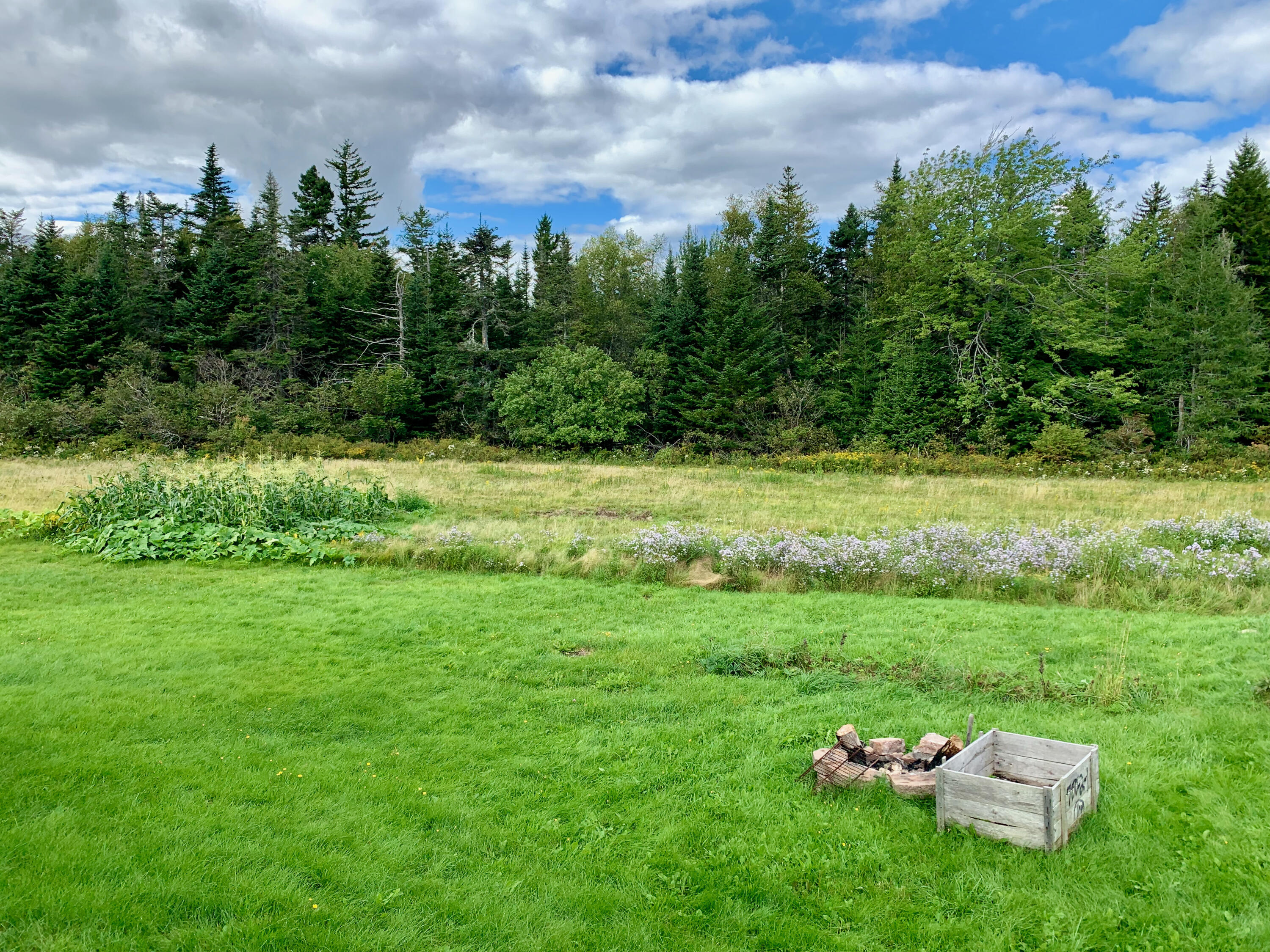 1485 Mason Bay Road Jonesport, ME 04649 - Photo 22 of 73 IMG_7962