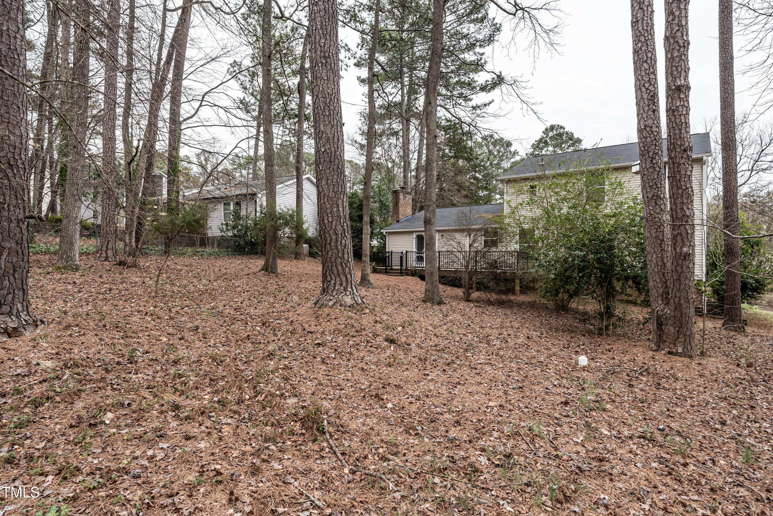 1036 Whetstone Court Raleigh, NC 27615 - Photo 27 of 29 virtual-tour-145137-photo-17413825781041