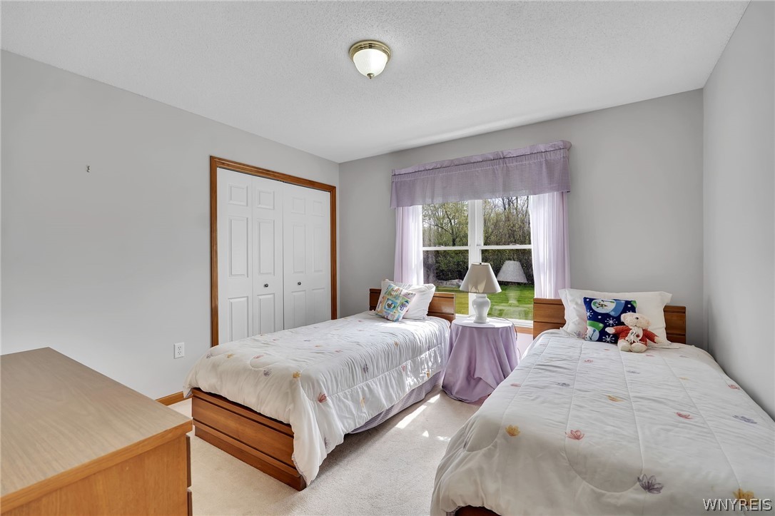 53 Alexander Parkway Pendleton, NY 14120 - Photo 19 of 30