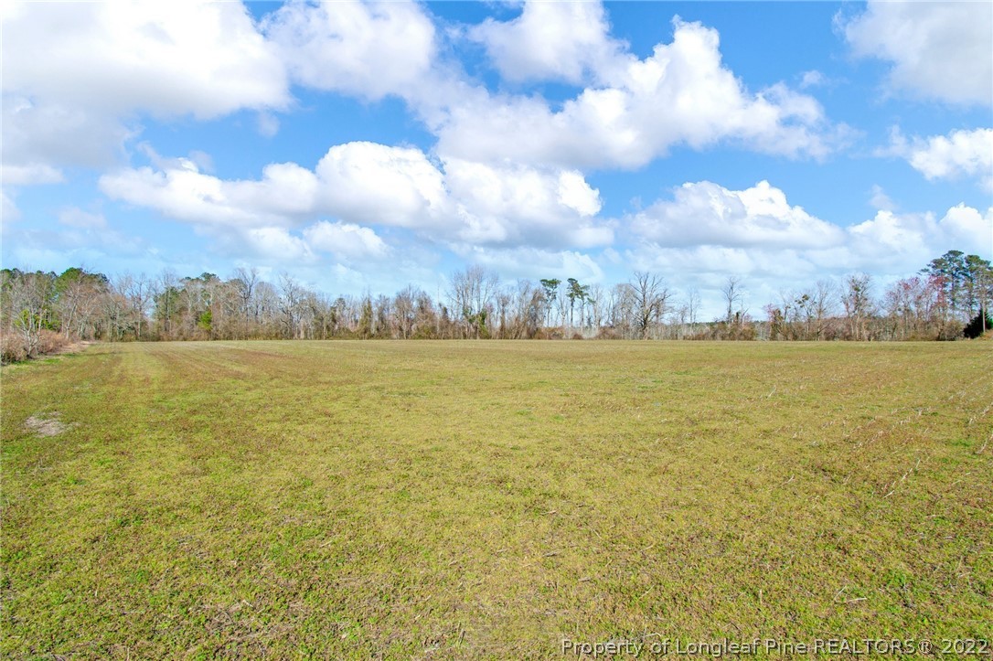 1197 Rowan Road Lumberton, NC 28358 - Photo 36 of 37 a view of an ocean