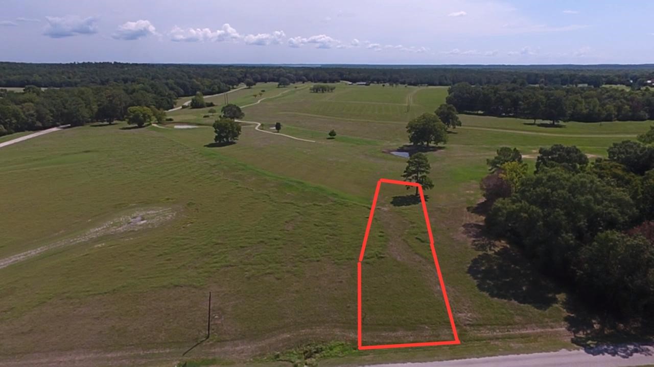Lot 21 Charleston Street Trinity, TX 75862 - Photo 1 of 13