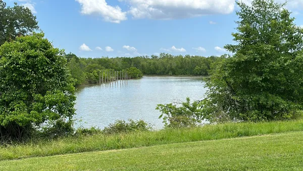 $19,500 | Lot 21 Charleston Street, Trinity, TX 75862