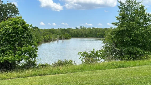 $19,500 | Lot 21 Charleston Street, Trinity, TX 75862