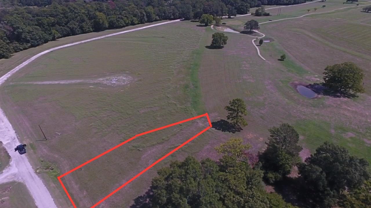 Lot 21 Charleston Street Trinity, TX 75862 - Photo 2 of 13