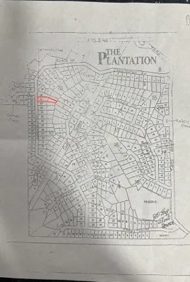 $19,500 | Lot 21 Charleston Street, Trinity, TX 75862