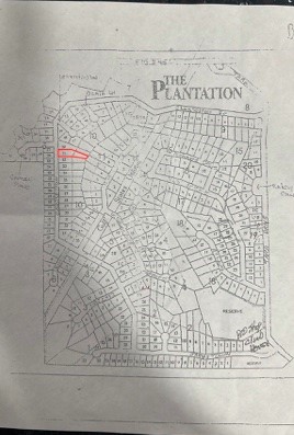 Lot 21 Charleston Street Trinity, TX 75862 - Photo 5 of 13