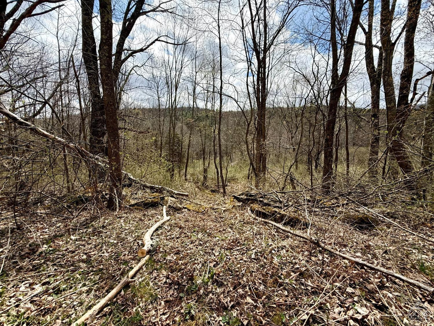 0 Charles Dent Road Prattsville, NY 12468 - Photo 11 of 21 a backyard of a house with lots of green space