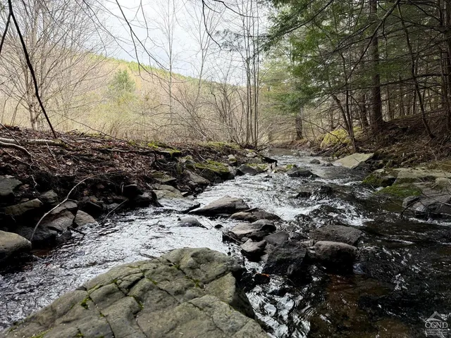 a view of a wooden floor with a yard