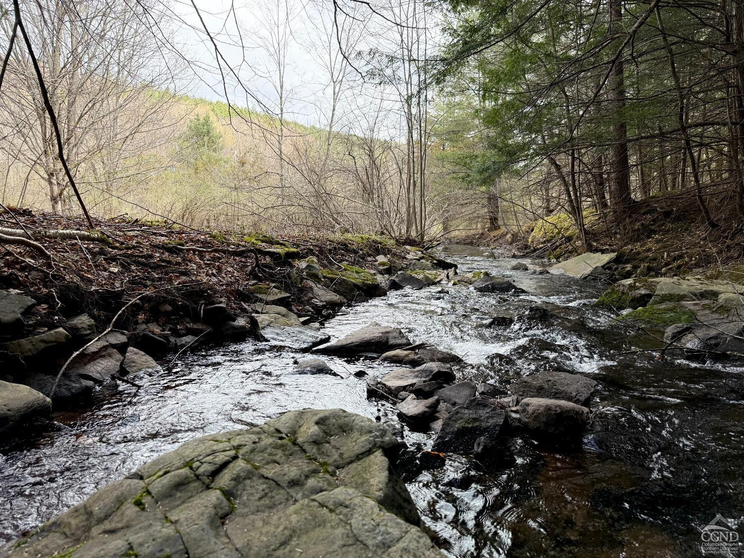 0 Charles Dent Road Prattsville, NY 12468 - Photo 12 of 21 a view of lot of trees