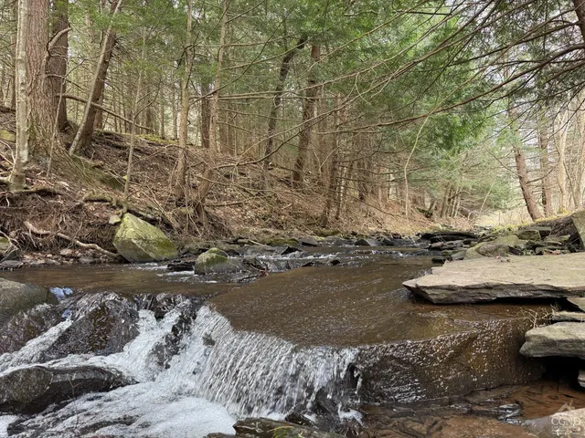 a view of a yard with trees