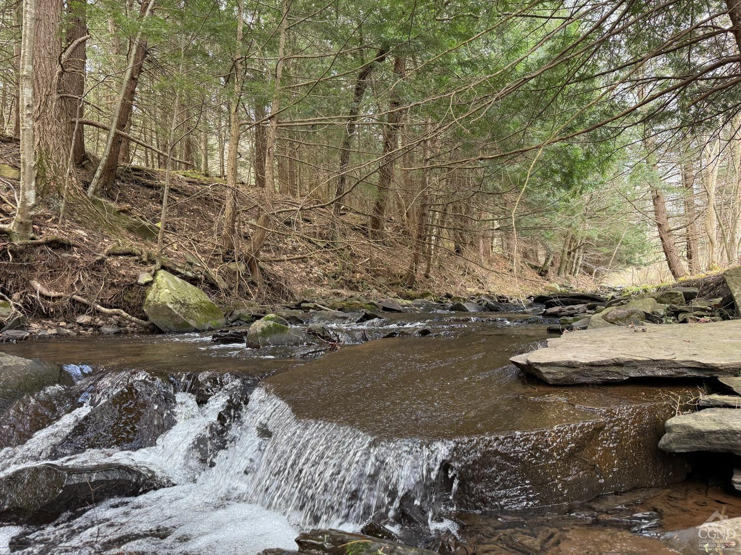 0 Charles Dent Road Prattsville, NY 12468 - Photo 13 of 21 a view of a wooden floor with a yard