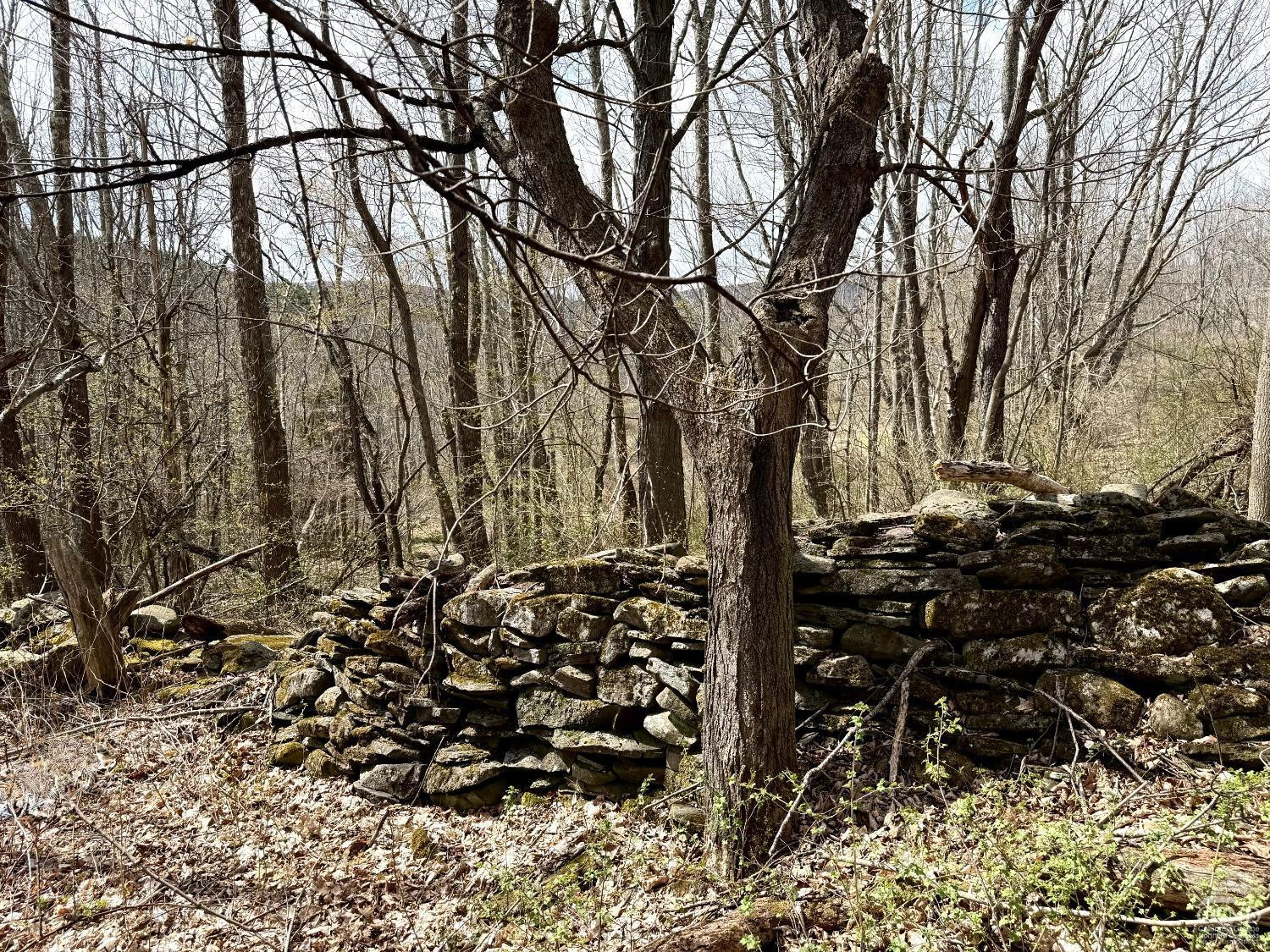 0 Charles Dent Road Prattsville, NY 12468 - Photo 16 of 21 a view of a yard