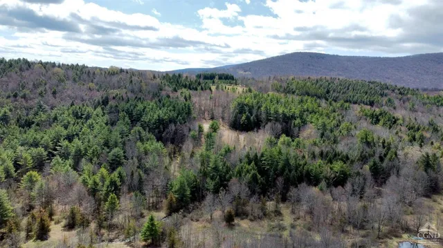 a view of a garden with a tree