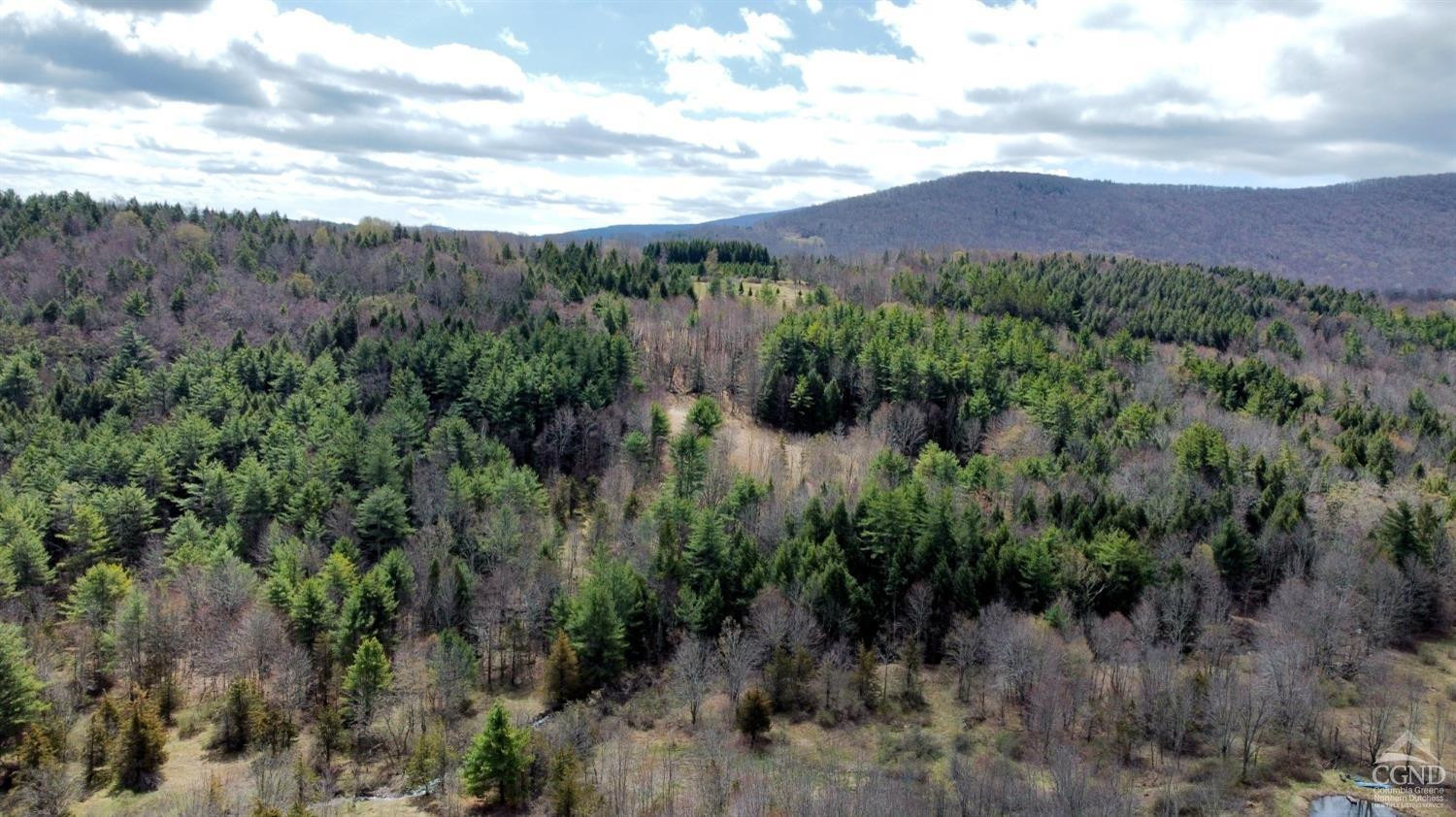 0 Charles Dent Road Prattsville, NY 12468 - Photo 19 of 21 a view of a city with lush green forest