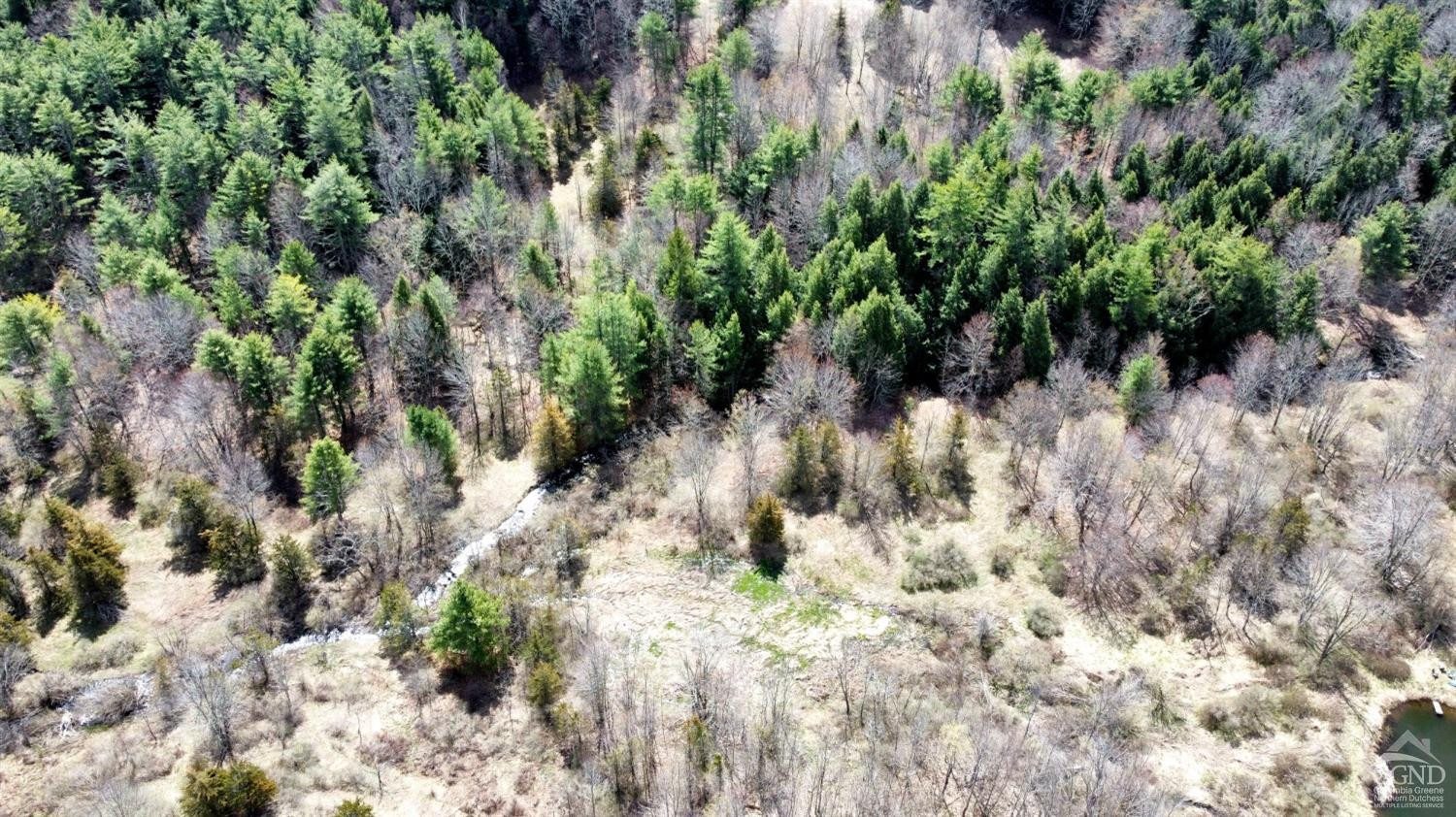 0 Charles Dent Road Prattsville, NY 12468 - Photo 20 of 21 a view of a garden with a tree