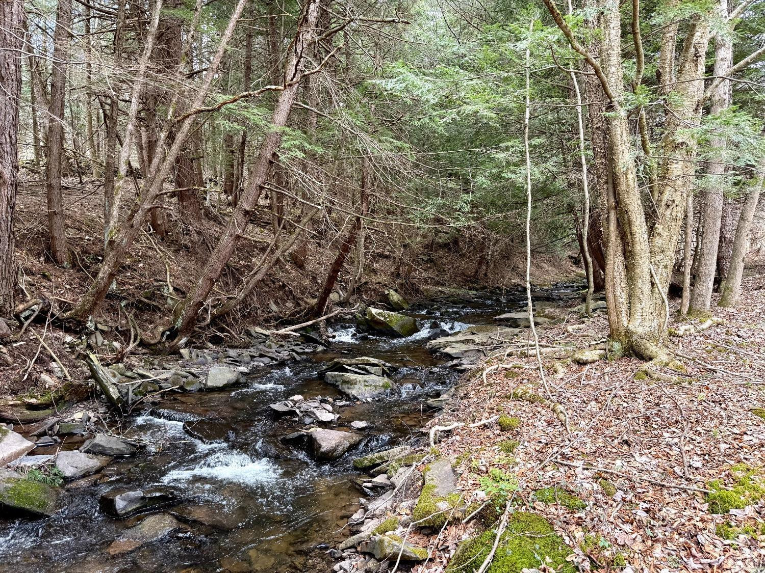 0 Charles Dent Road Prattsville, NY 12468 - Photo 2 of 21 a view of a forest