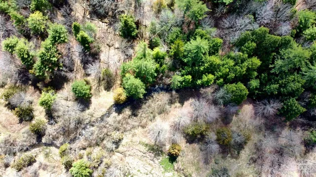 $54,500 | 0 Charles Dent Road, Prattsville, NY 12468