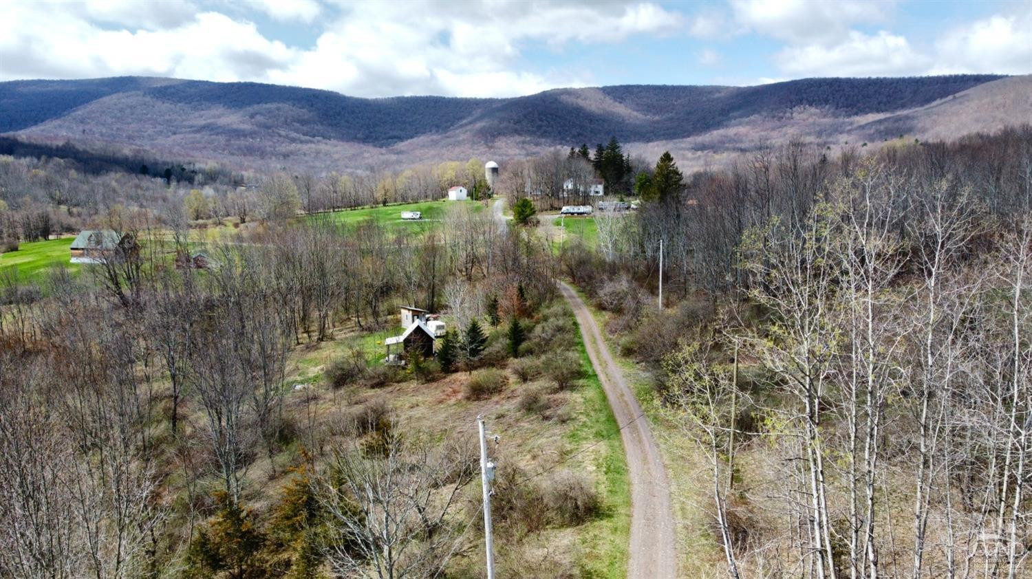 0 Charles Dent Road Prattsville, NY 12468 - Photo 4 of 21 a view of a lush green field