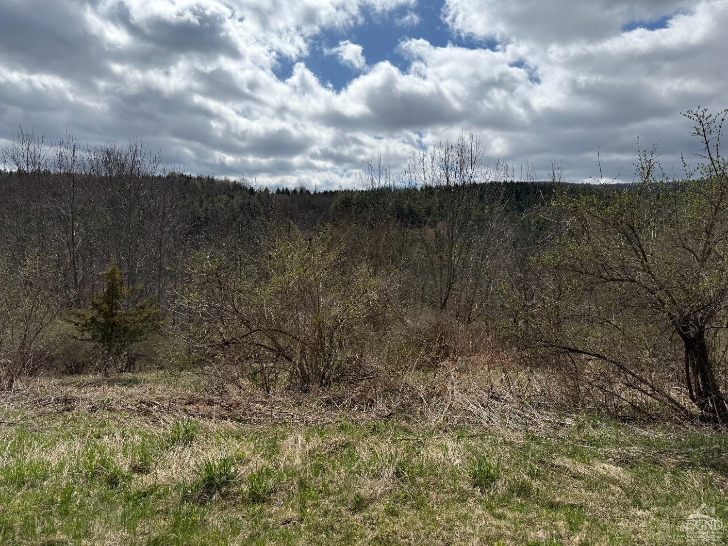 0 Charles Dent Road Prattsville, NY 12468 - Photo 8 of 21 a view of a lake