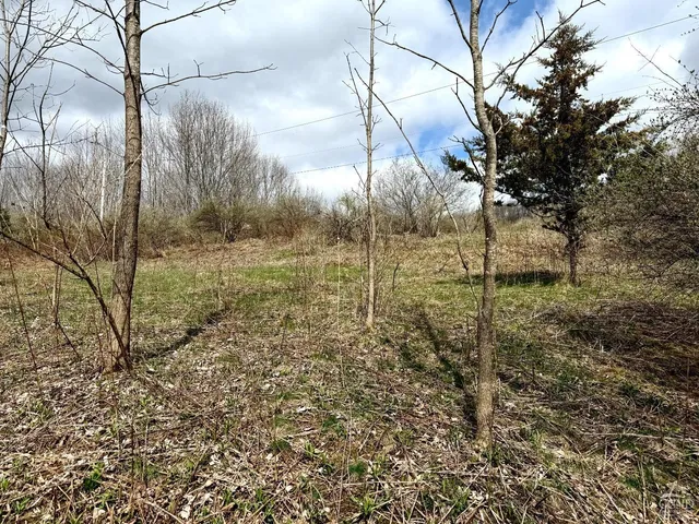 a view of a dry yard with wooden fence