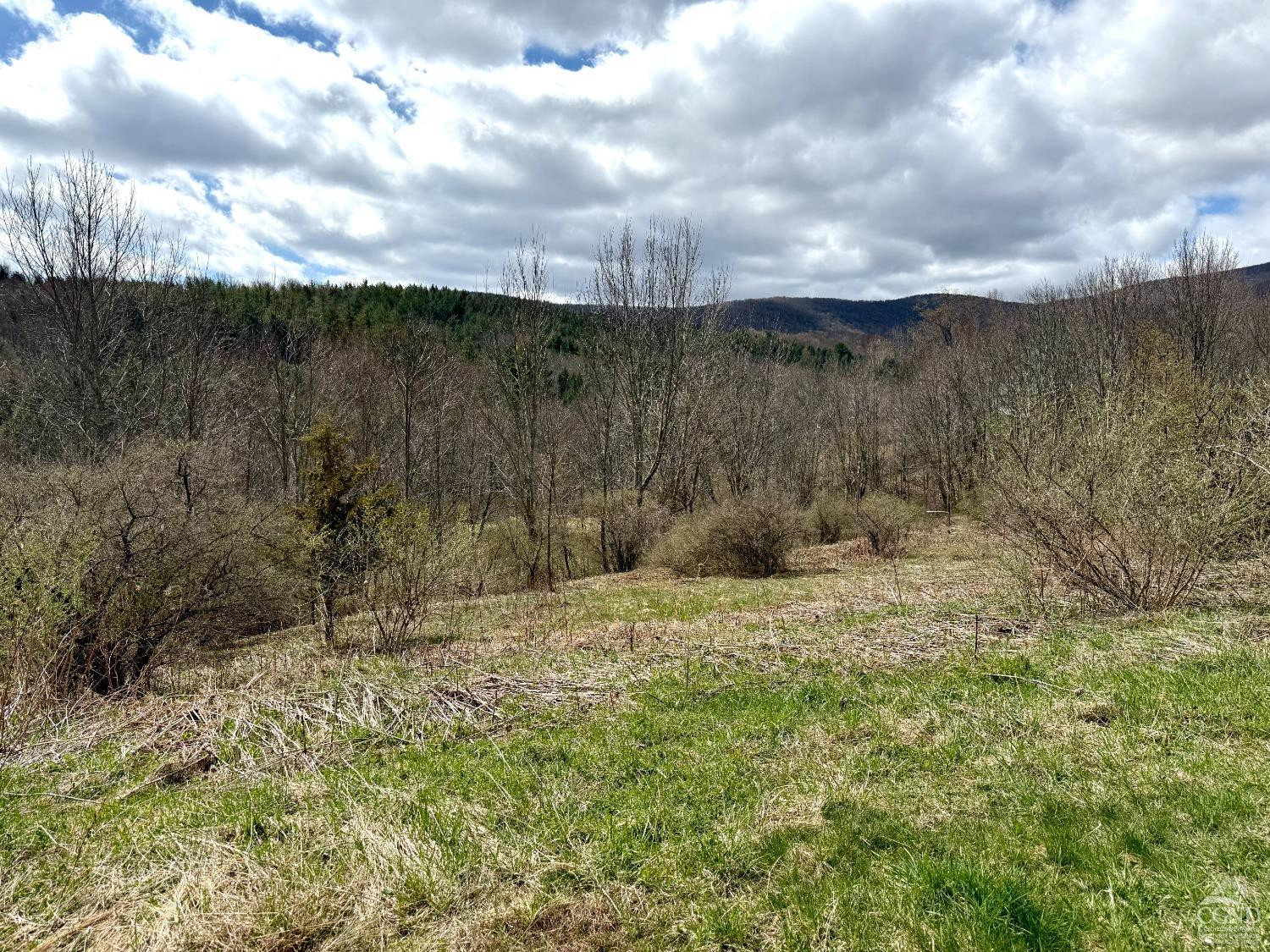 0 Charles Dent Road Prattsville, NY 12468 - Photo 10 of 21 a view of a dry yard with wooden fence