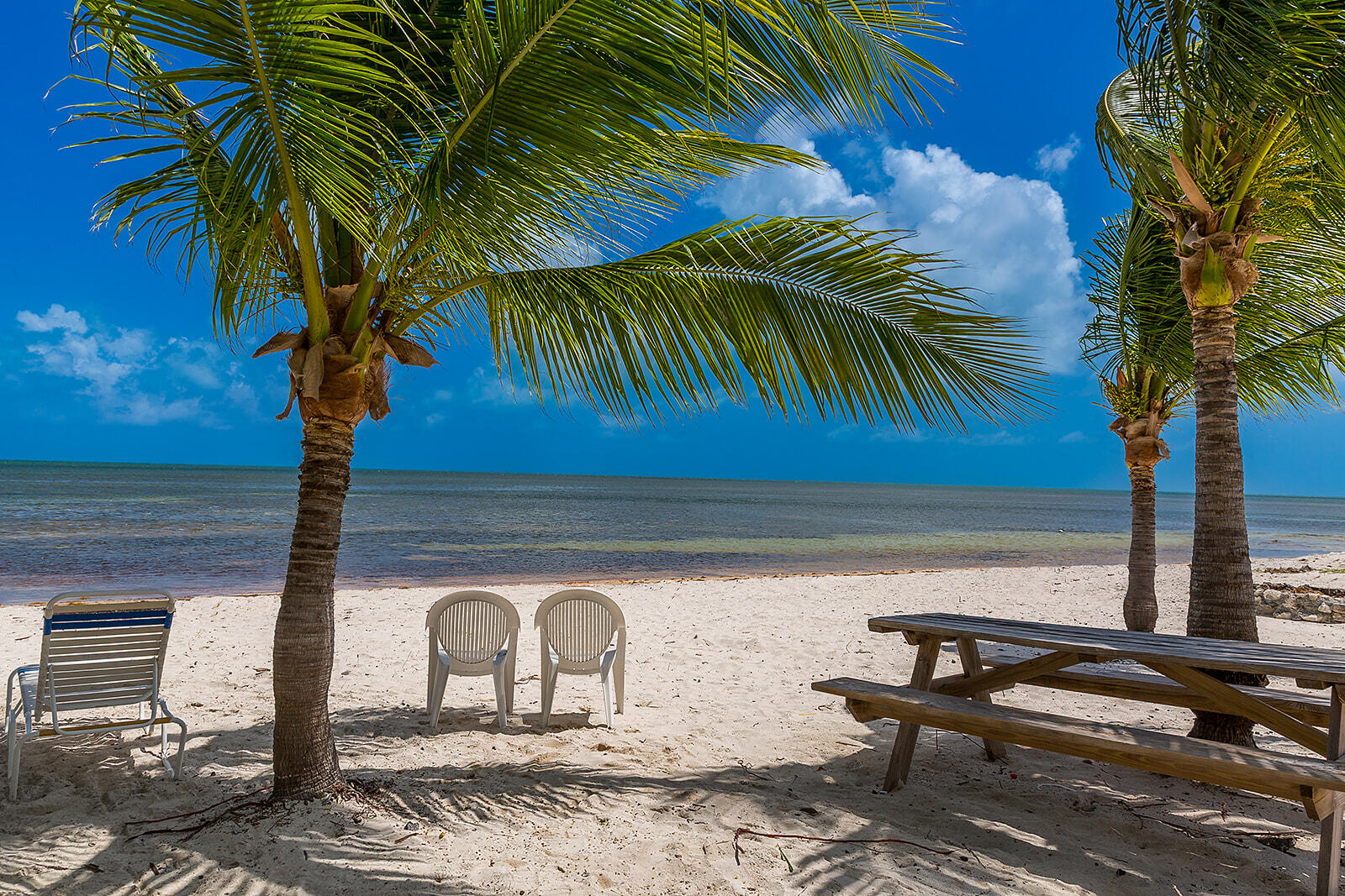 65821 Overseas Highway, Unit 35 Long Key, FL 33001 - Photo 70 of 82 A85A9754-Edit
