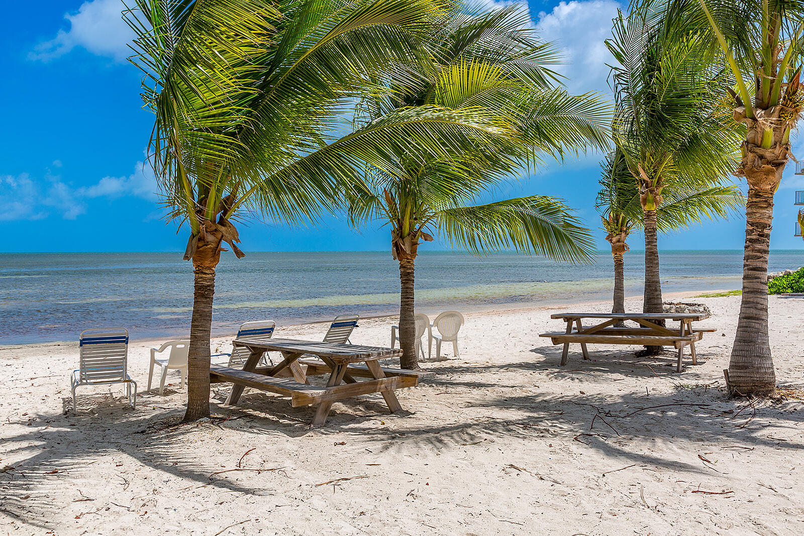 65821 Overseas Highway, Unit 35 Long Key, FL 33001 - Photo 71 of 82 A85A9765-Edit